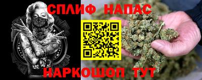 мдпв Анапа