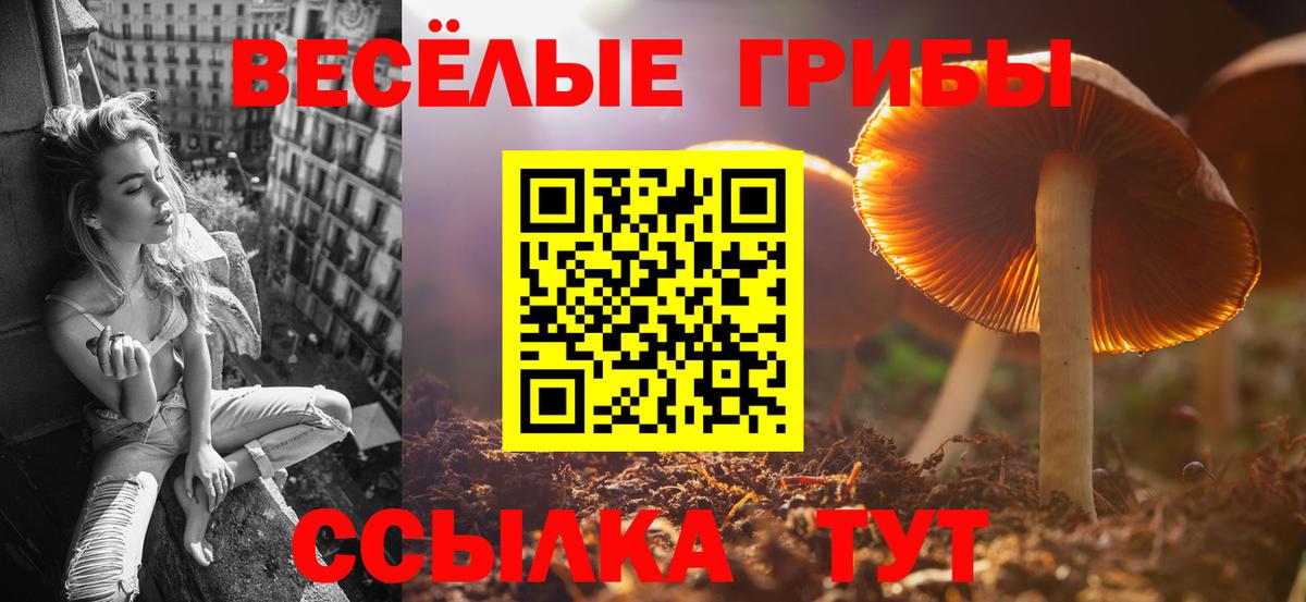 Алейск  Галлюциногенные грибы GOLDEN TEACHER  Вход с VPN 
