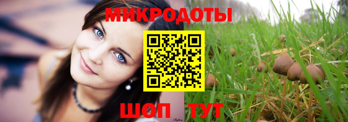 Псилоцибиновые грибы Magic Shrooms Алейск